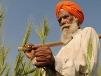 Indian farmers sew discontent in Georgia – Al Jazeera