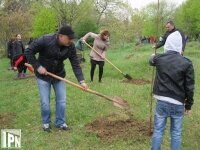 Kviris Palitra celebrated the 18th anniversary by planting trees