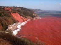 Unusual picture: Sea turns red in England 