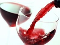 Russia's sanitary inspection studying hygienic norms in Georgian wine