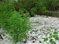 Strong hail destroyed peach and vineyard plantations in Telavi 