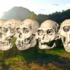 Skull found in Georgia may change human evolution history 