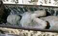 10-year old boy finds Egyptian mummy in his grandmothers house 