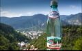 Patarkatsishvili’s family sold controlling package of Borjomi to Russian company 