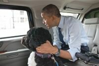 Obamas show off new pet Sunny