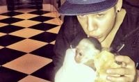 Bieber's monkey starts new life in German safari park 