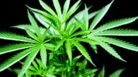 Uruguay: First country in the world has legalized Marijuana 